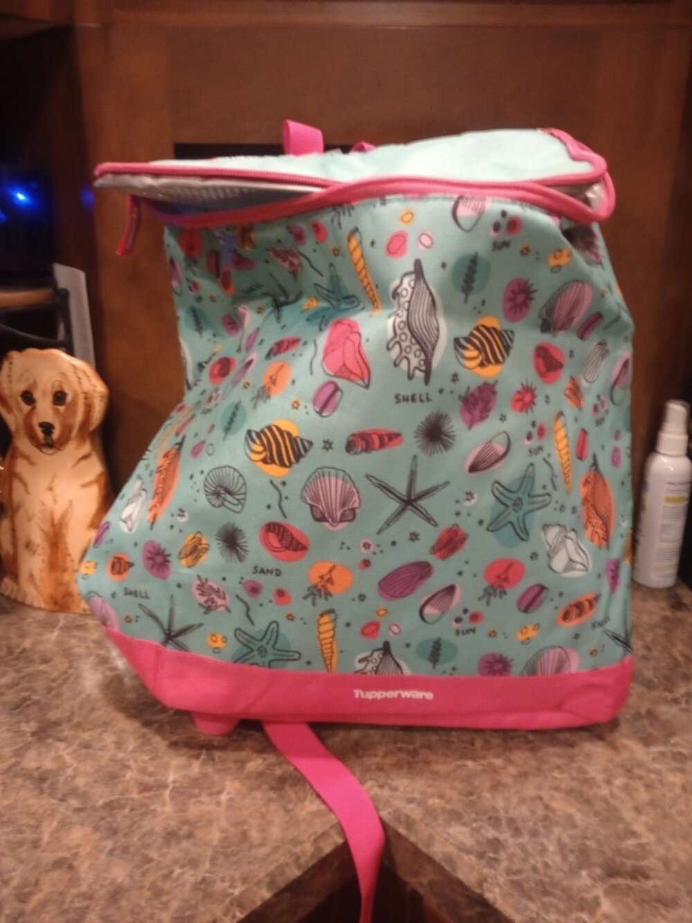 Tupperware insulated cooler backpack